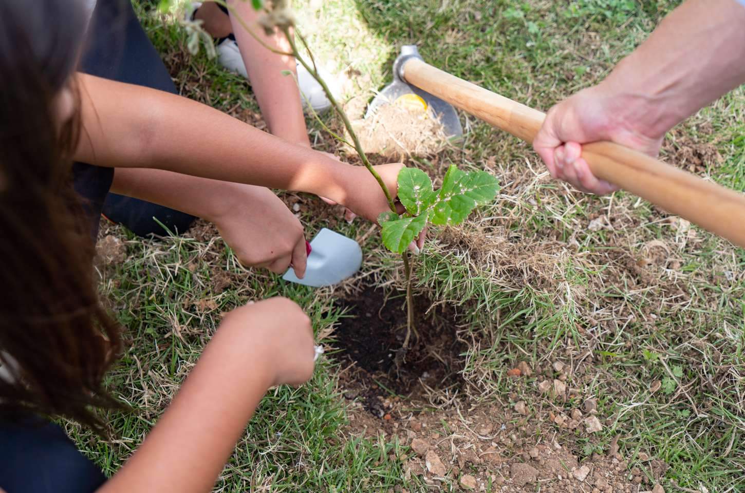 Estudantes transformam pesquisa em ação e plantam cinturão verde no Rio Avril