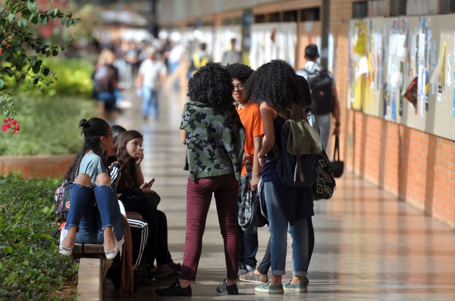 Estudo defende ampliação de cotas raciais em SC contra lei que as proíbe