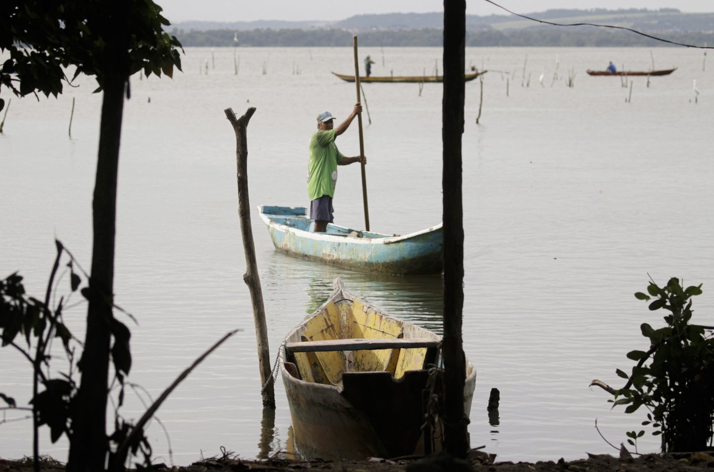 Etapas estaduais da 4ª Conferência Nacional de Aquicultura e Pesca ocorrem em junho