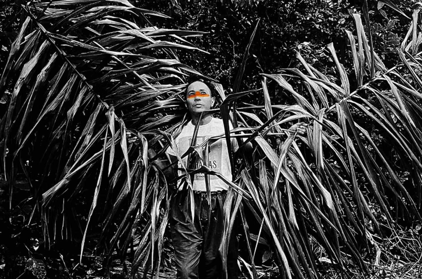 Exposição no Museu da Diversidade Sexual resgata histórias queer da Amazônia