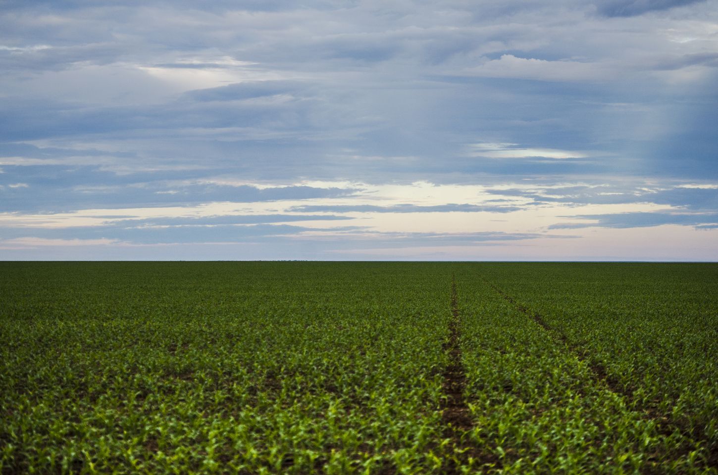 Fazenda estuda Fundo Garantidor para dívidas rurais