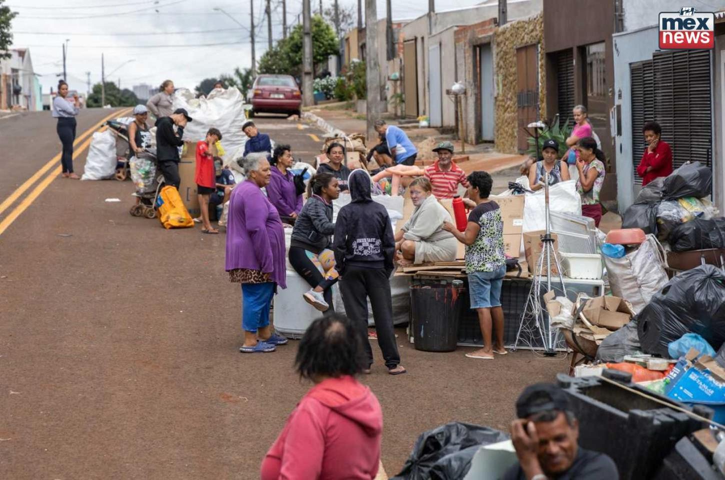 Feira Verde: Aliado no combate à Dengue e promotor de segurança alimentar