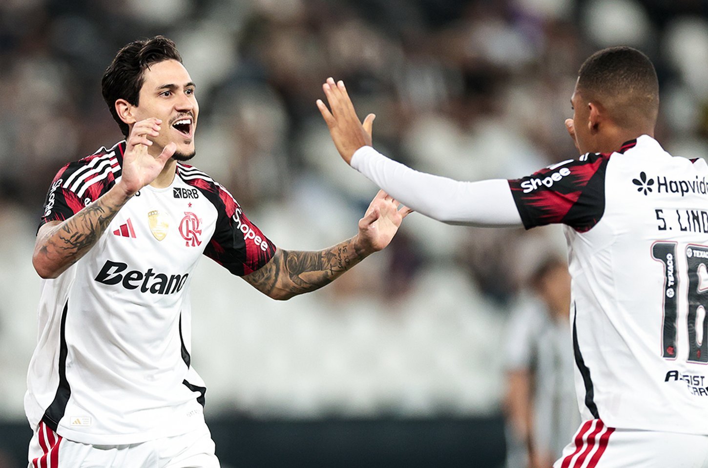 Flamengo goleia Botafogo e se aproxima da liderança do Brasileirão