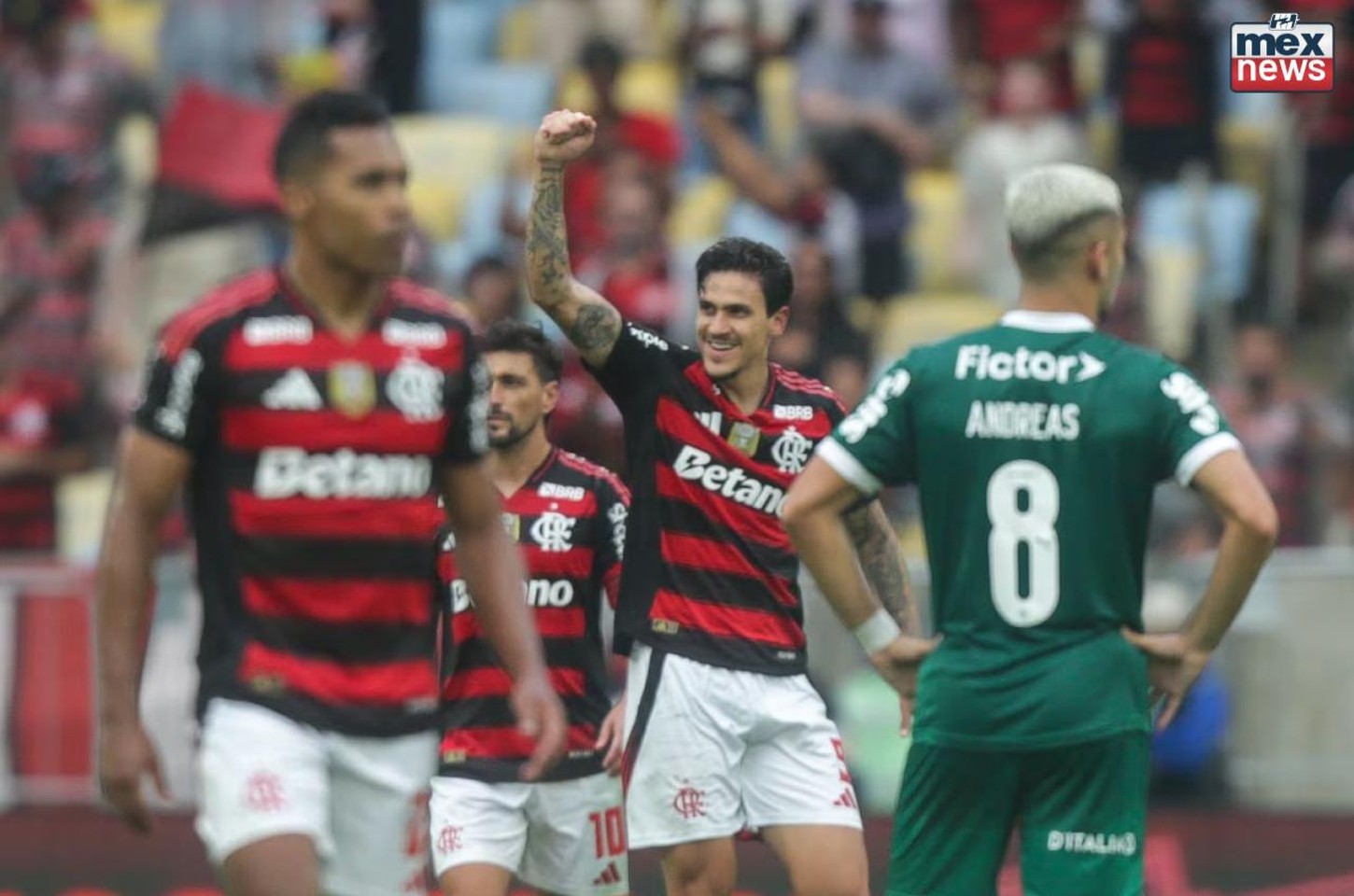 Flamengo vence o Palmeiras e reassume a liderança do Campeonato Brasileiro