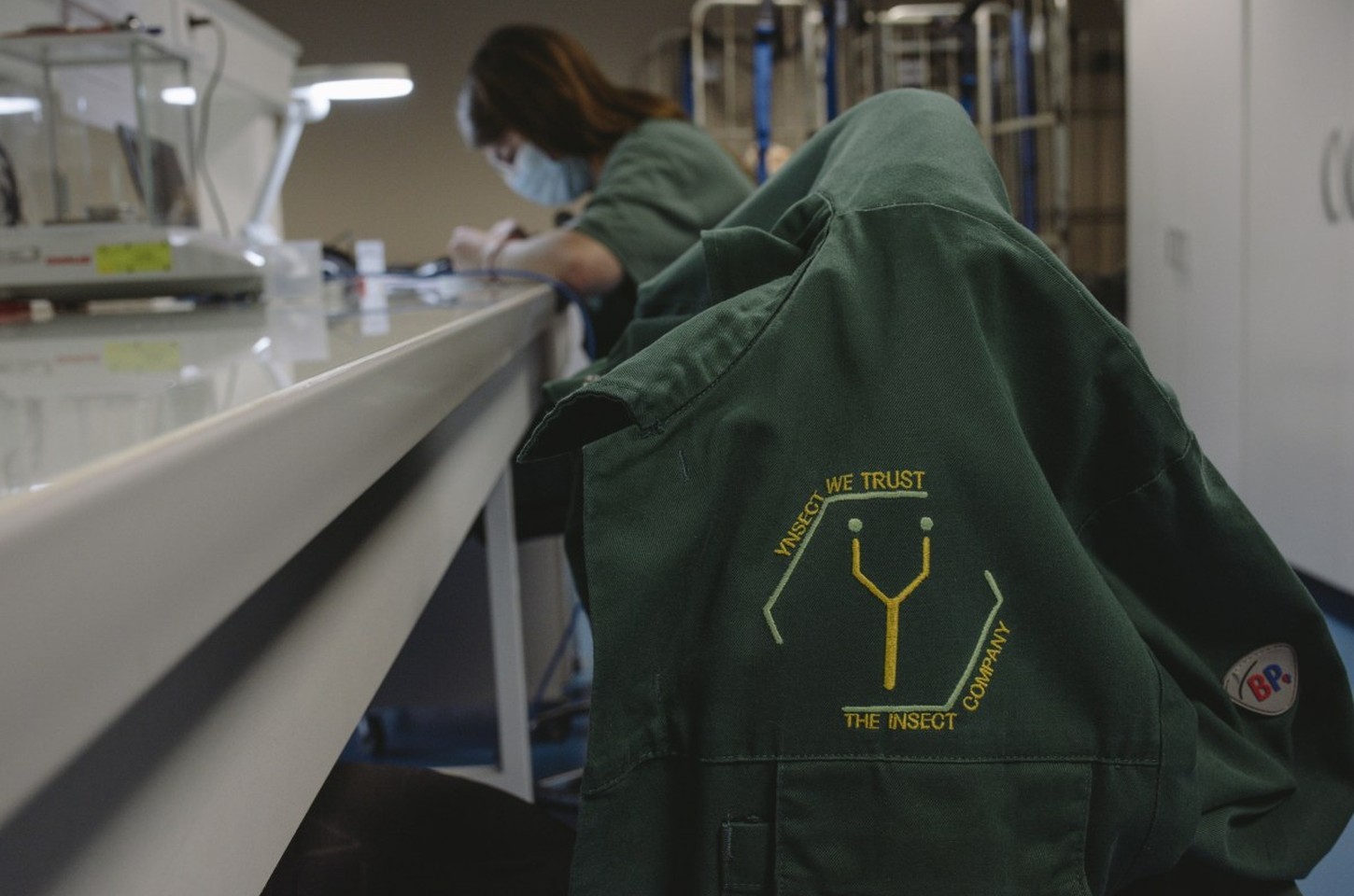 Fracasso da Ÿnsect: Como startup de US$ 600 mi faliu sem escolher mercado