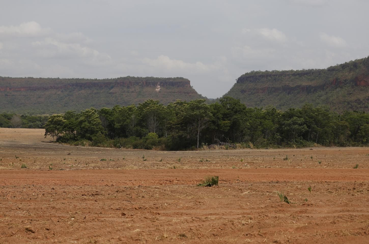 Fragmentação da vegetação nativa cresce 260% em 38 anos, aponta MapBiomas