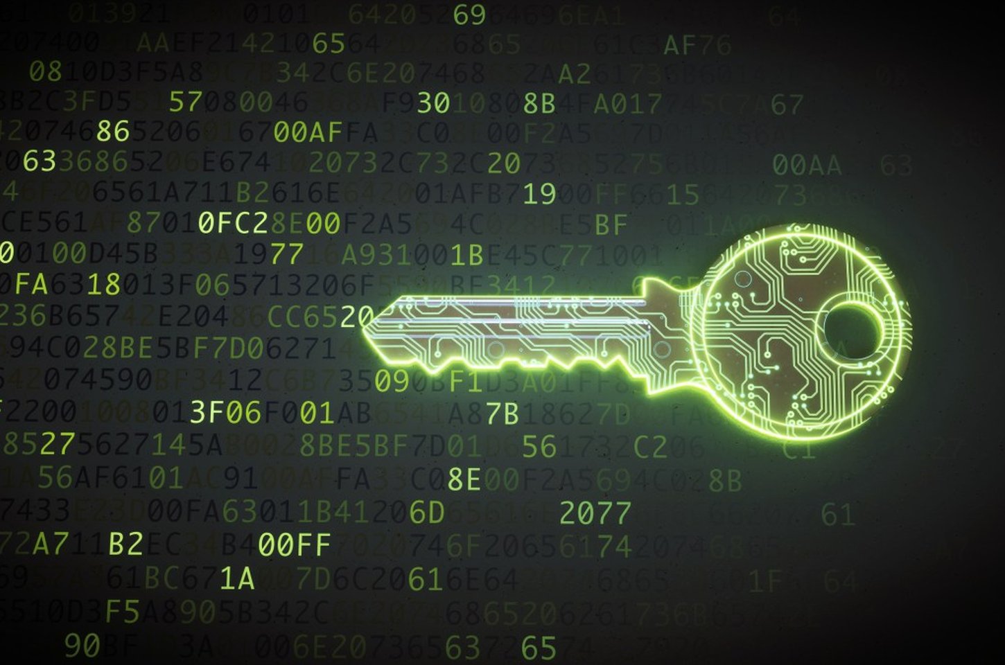 Freedom Chat corrige falhas graves que expunham números e PINs de usuários