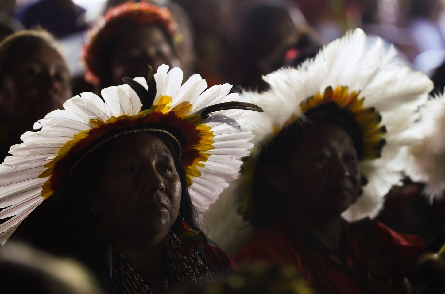 Fundo Amazônia lança prêmio para iniciativas de proteção territorial