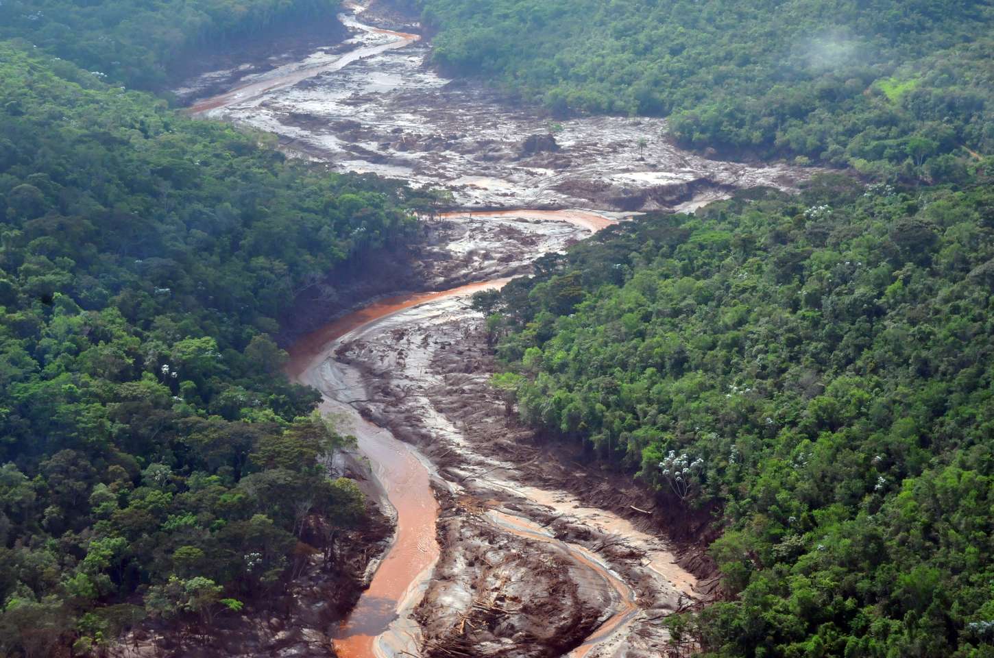Fundo Rio Doce libera R$ 75,8 milhões para novos projetos em três meses