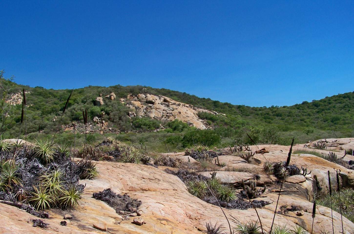 Geoparque Seridó é destaque no Caminhos da Reportagem da TV Brasil
