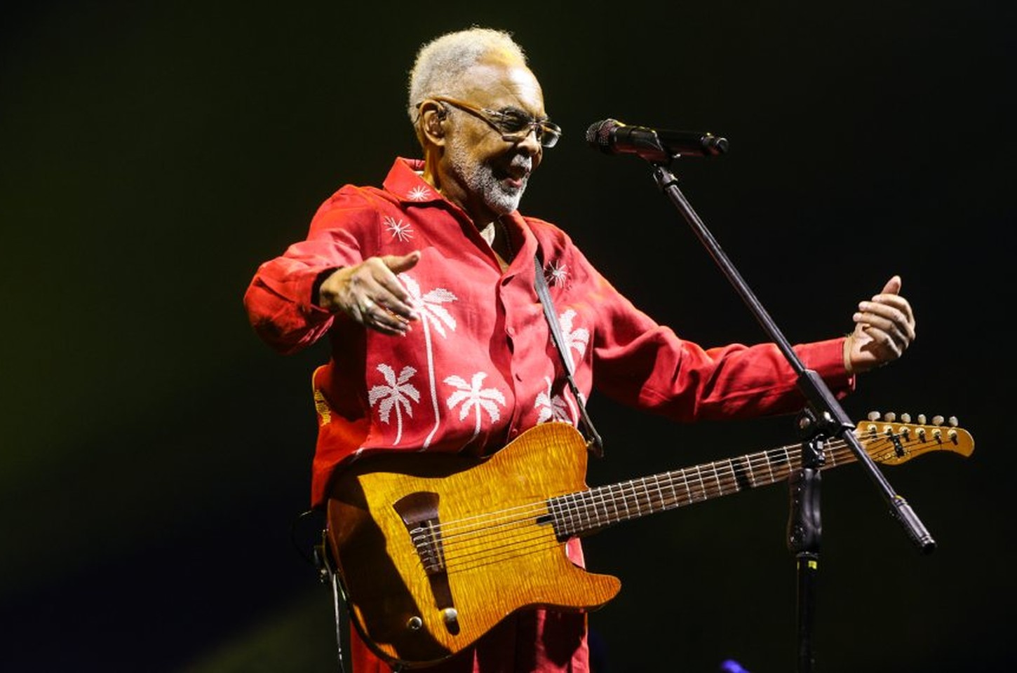 Gilberto Gil quebra recorde de público no Allianz Parque com turnê Tempo Rei