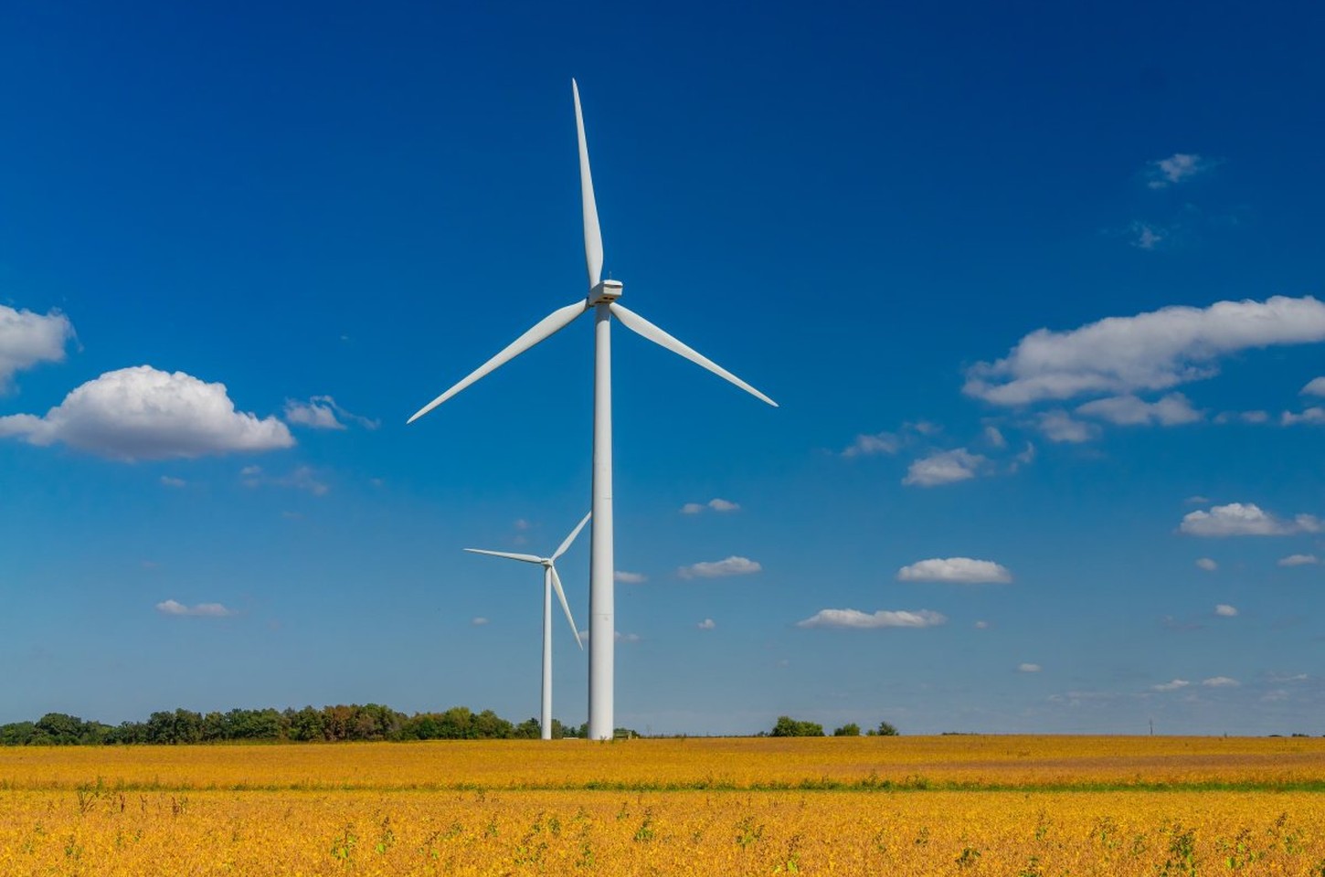 Google anuncia data center com maior bateria do mundo em Minnesota