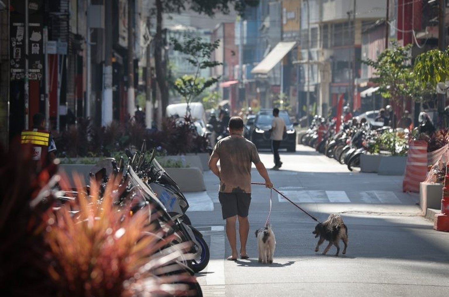 Governo de SP identifica 4,8 mil frequentadores da Cracolândia com uso de tecnologia e inteligência
