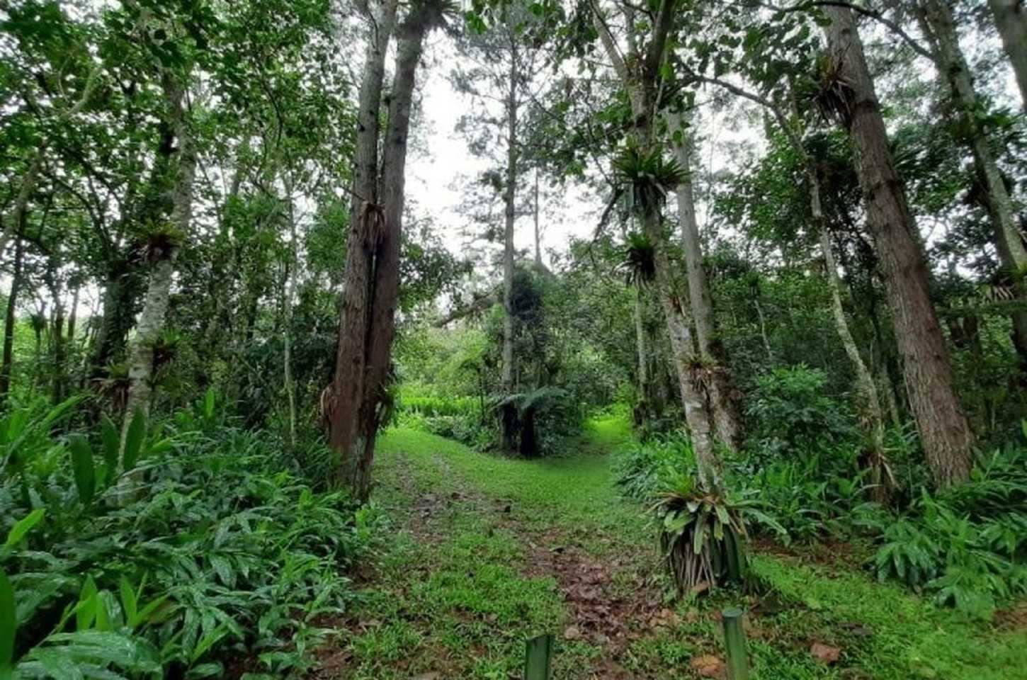 Governo de SP lança plataforma digital para licenciamento ambiental em municípios
