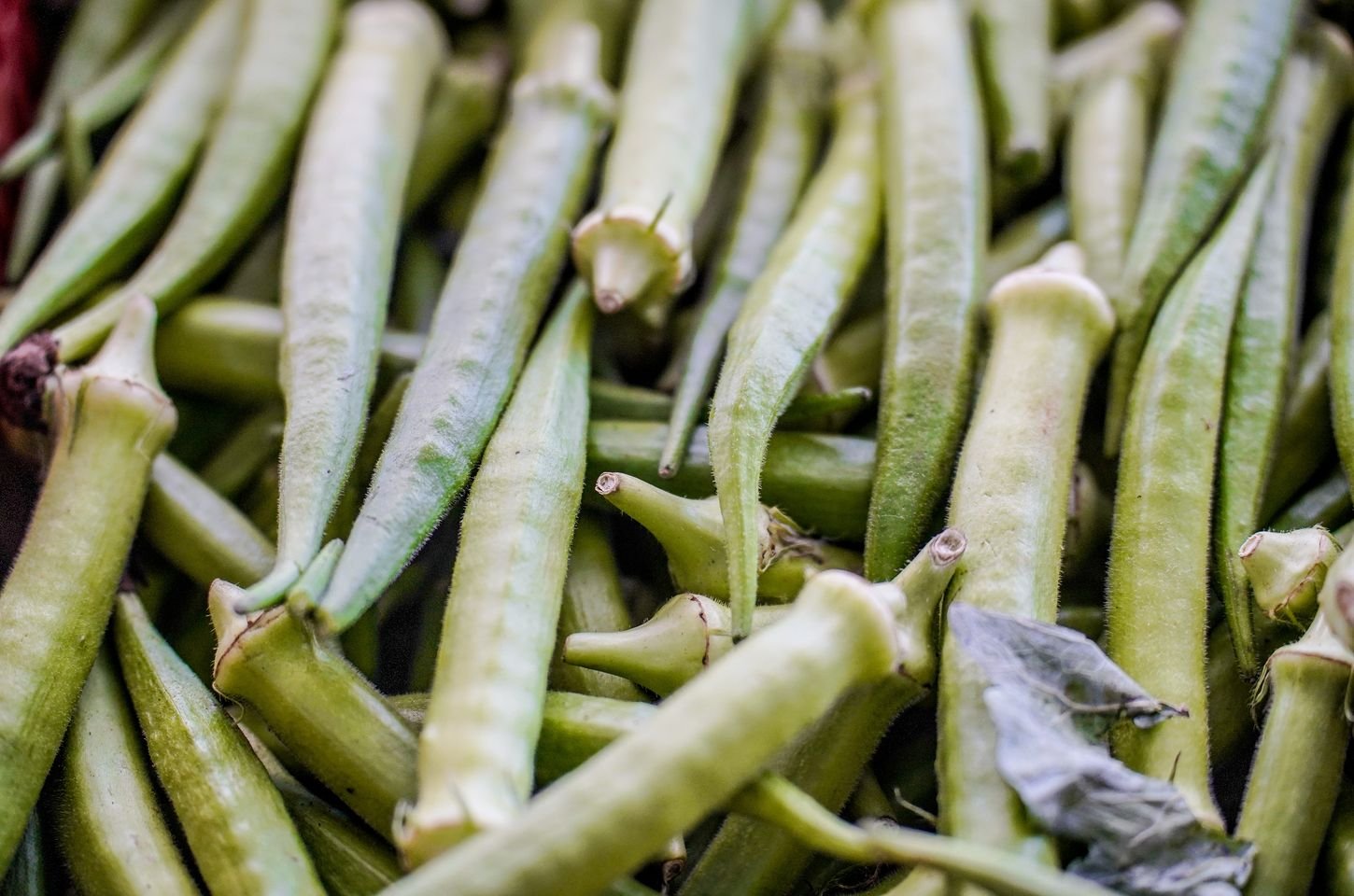 Governo divulga lista de municípios para pagamento do Garantia-Safra