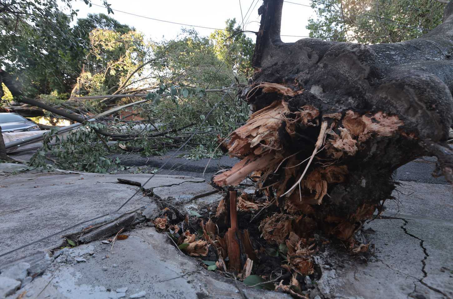 Governo federal reconhece emergência em 21 cidades atingidas por desastres