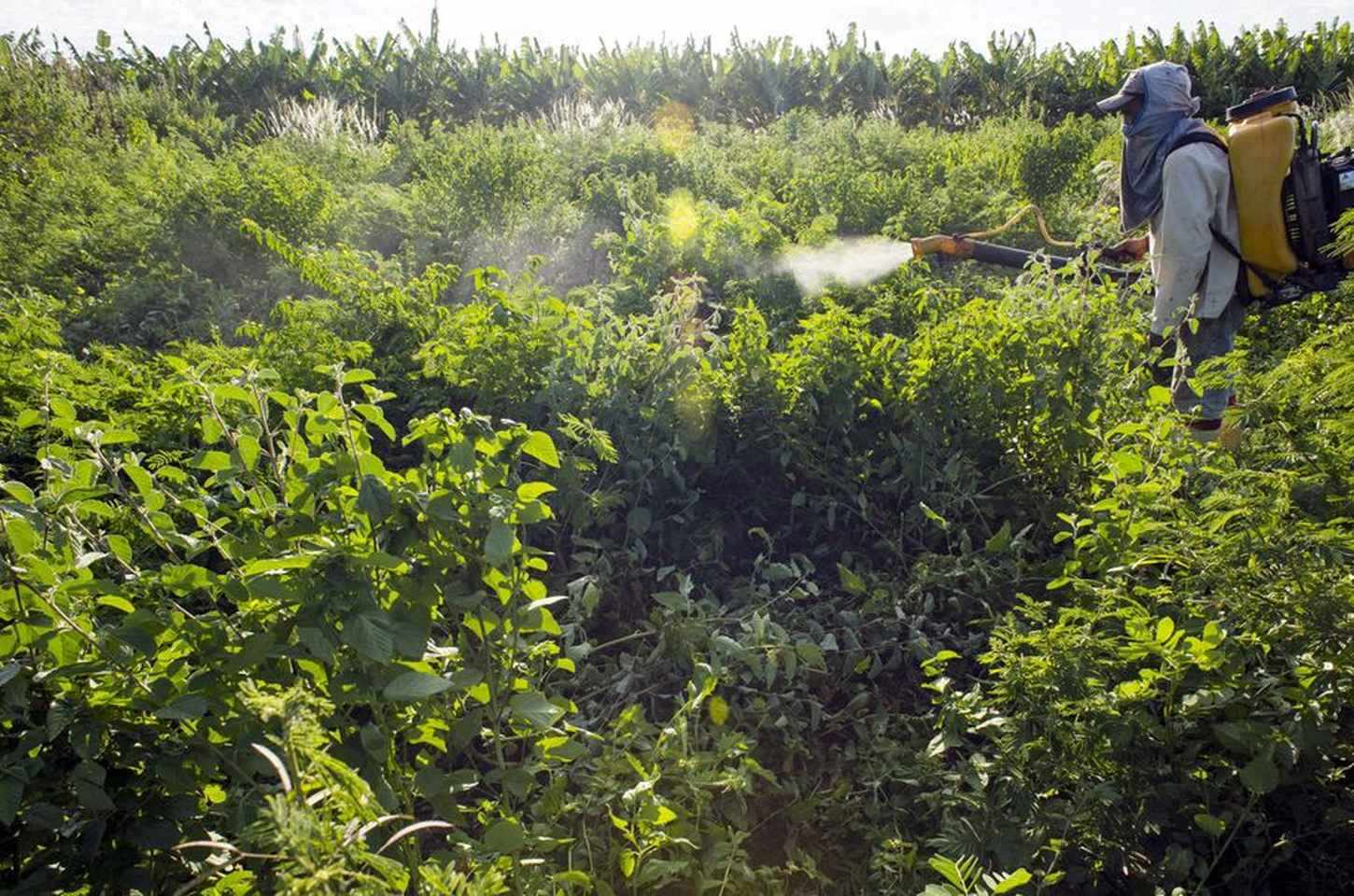 Governo lança painel para monitorar agrotóxicos em recursos hídricos do Brasil