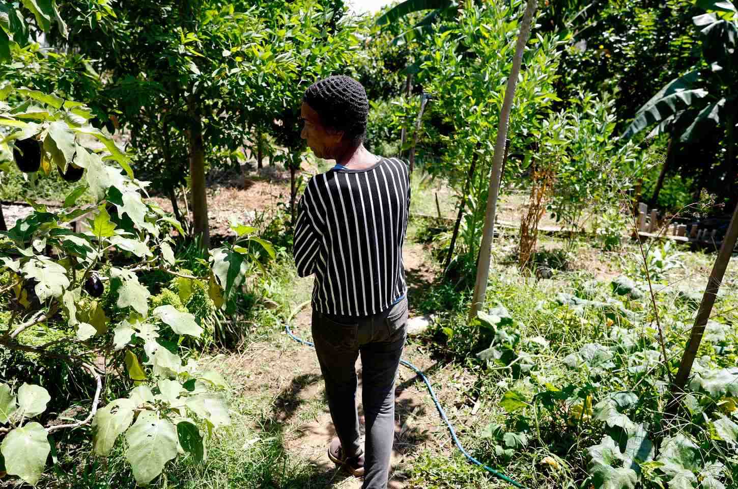 Horta comunitária no Salgueiro une memória, alimento e cidadania