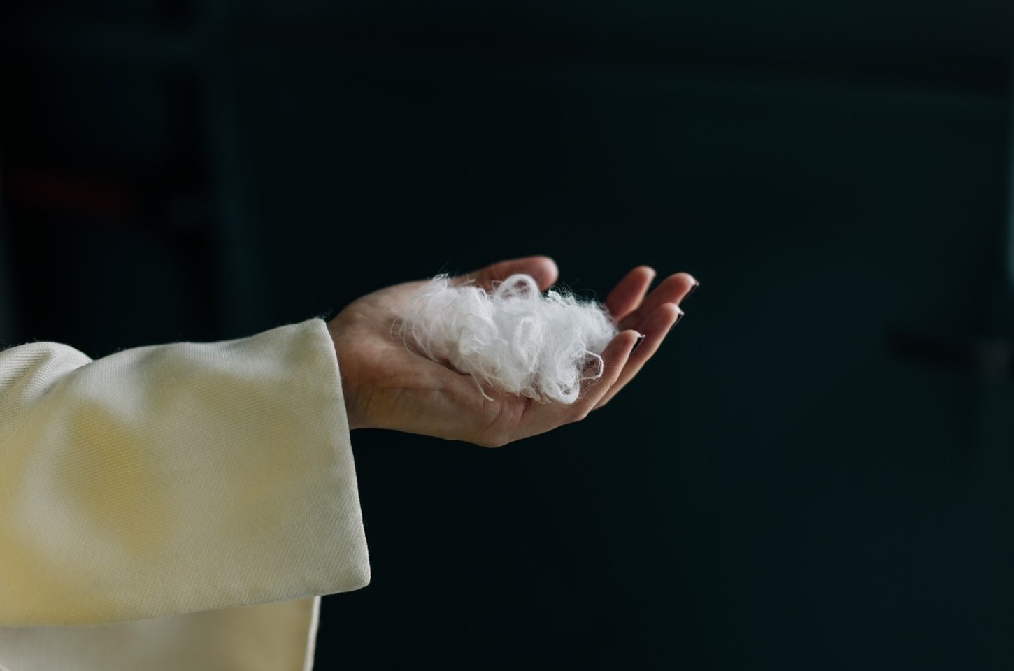 IA cria cashmere sustentável a partir de resíduos têxteis