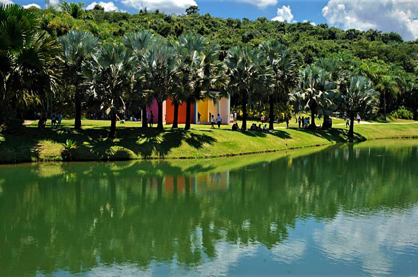 Inhotim bate recorde de público e projeta 361 mil visitantes em 2024