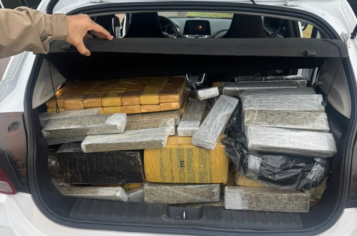 Inteligência artificial ajuda PM a apreender 269 kg de maconha no Paraná