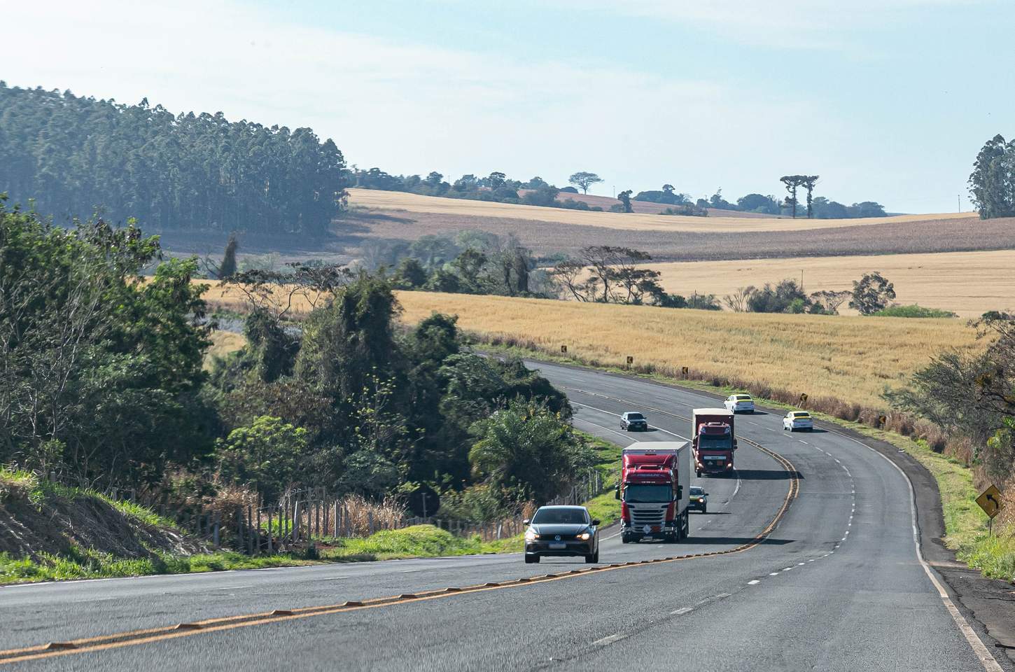 IPVA 2026 no Paraná terá redução histórica e desconto para pagamento à vista