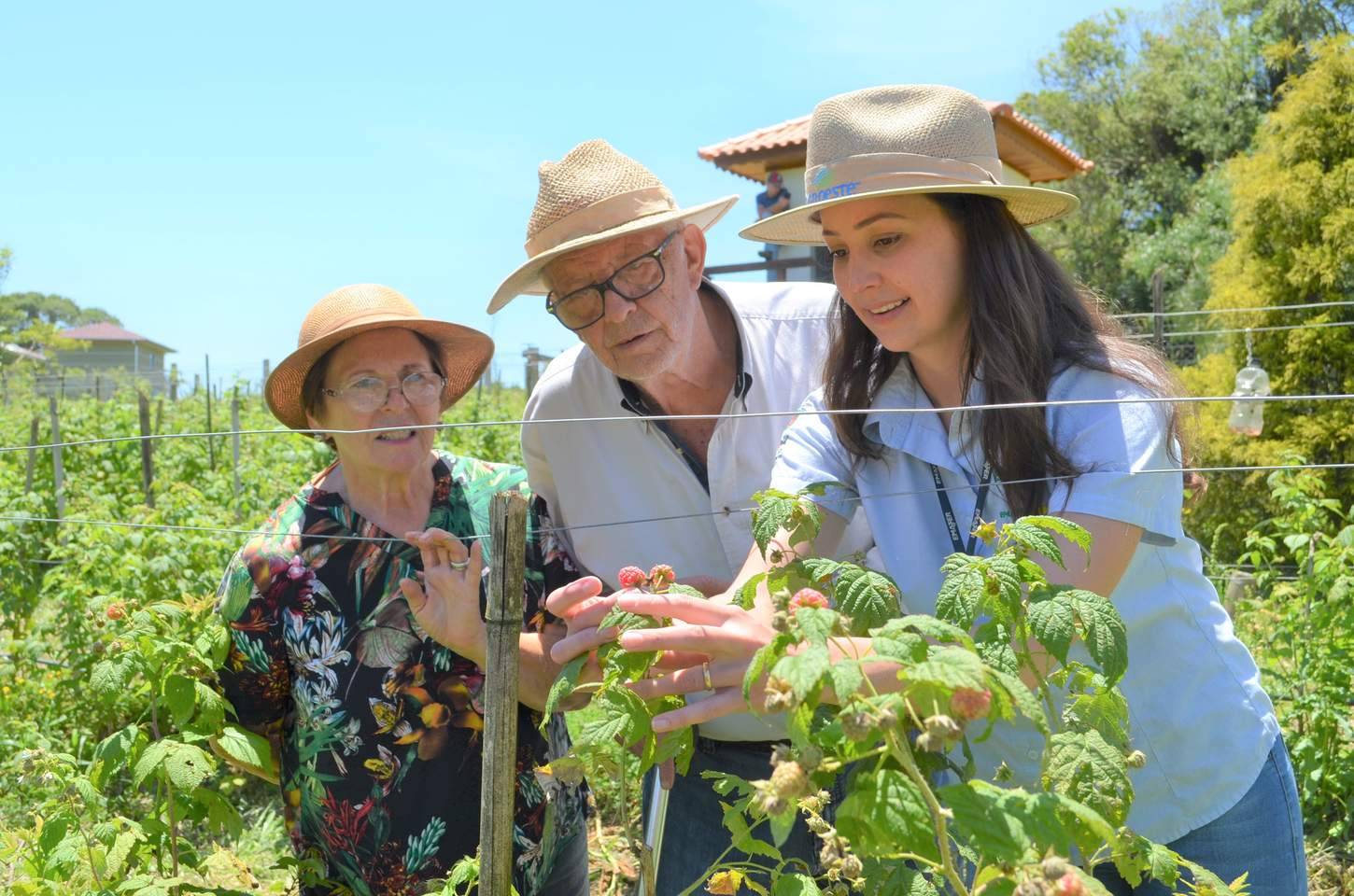Lei sancionada reorganiza carreiras e abre caminho para concurso no IDR-Paraná