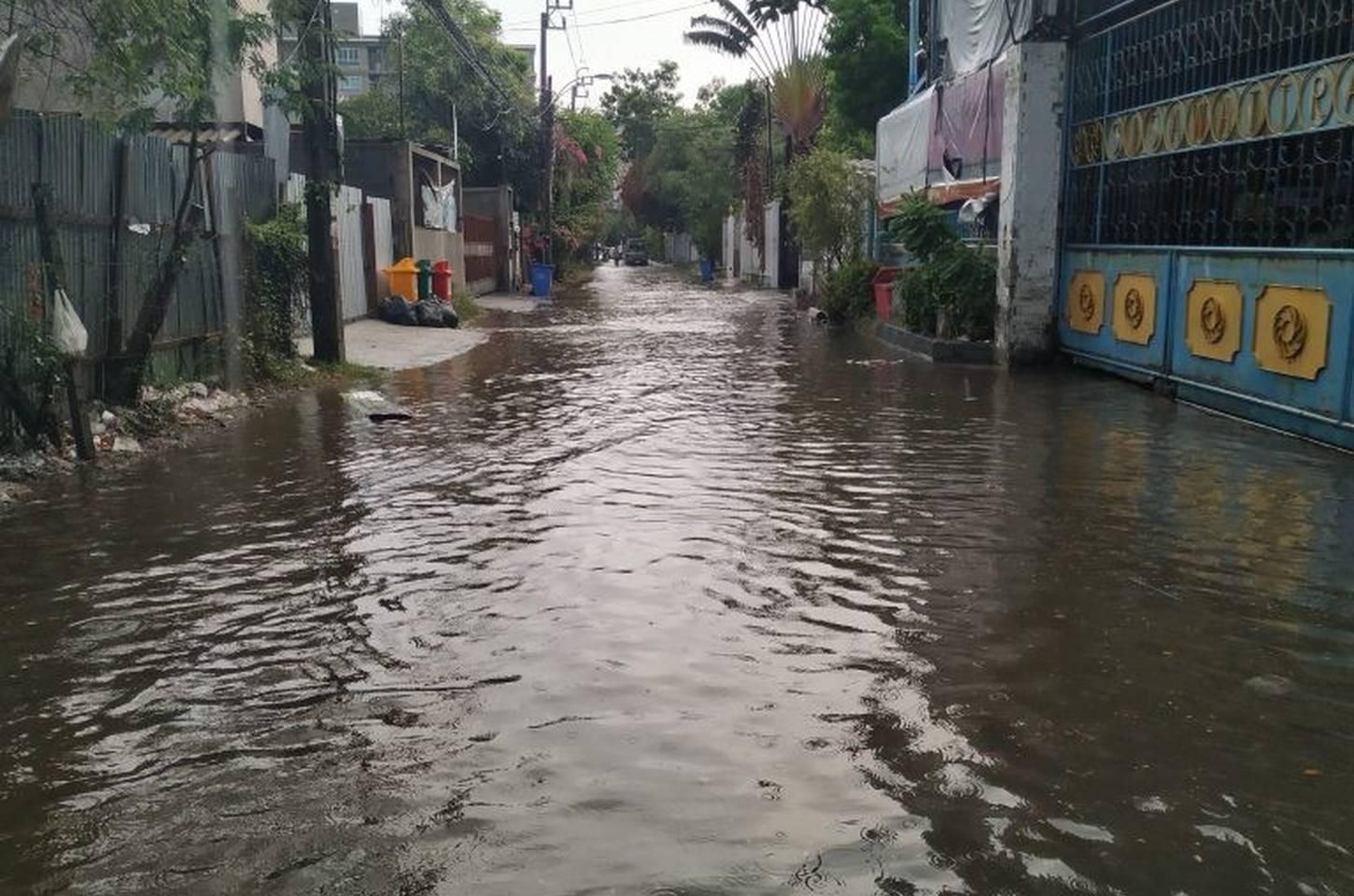 Leptospirose: janela de 48 horas é crucial para evitar mortes