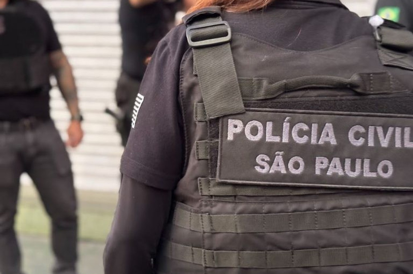 Líder de quadrilha que adulterava cargas de grãos é preso em Santos