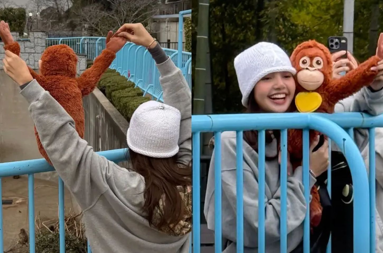 Lisa visita macaco viral e prestigia Bad Bunny no Japão