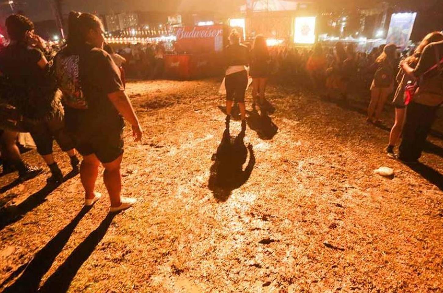 Lollapalooza Brasil 2026: clima ameno e dicas para o primeiro dia