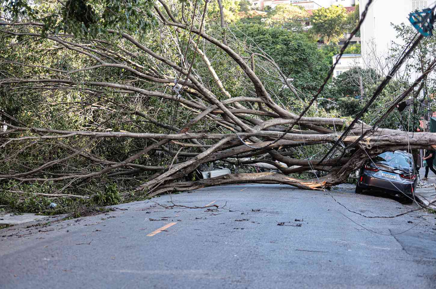 Mais de 1,3 milhão de clientes da Enel seguem sem luz na Grande São Paulo
