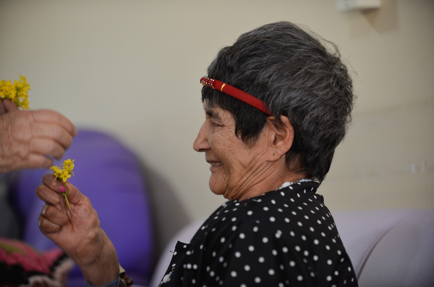 Ministras defendem denúncia de violações contra idosos em conferência nacional