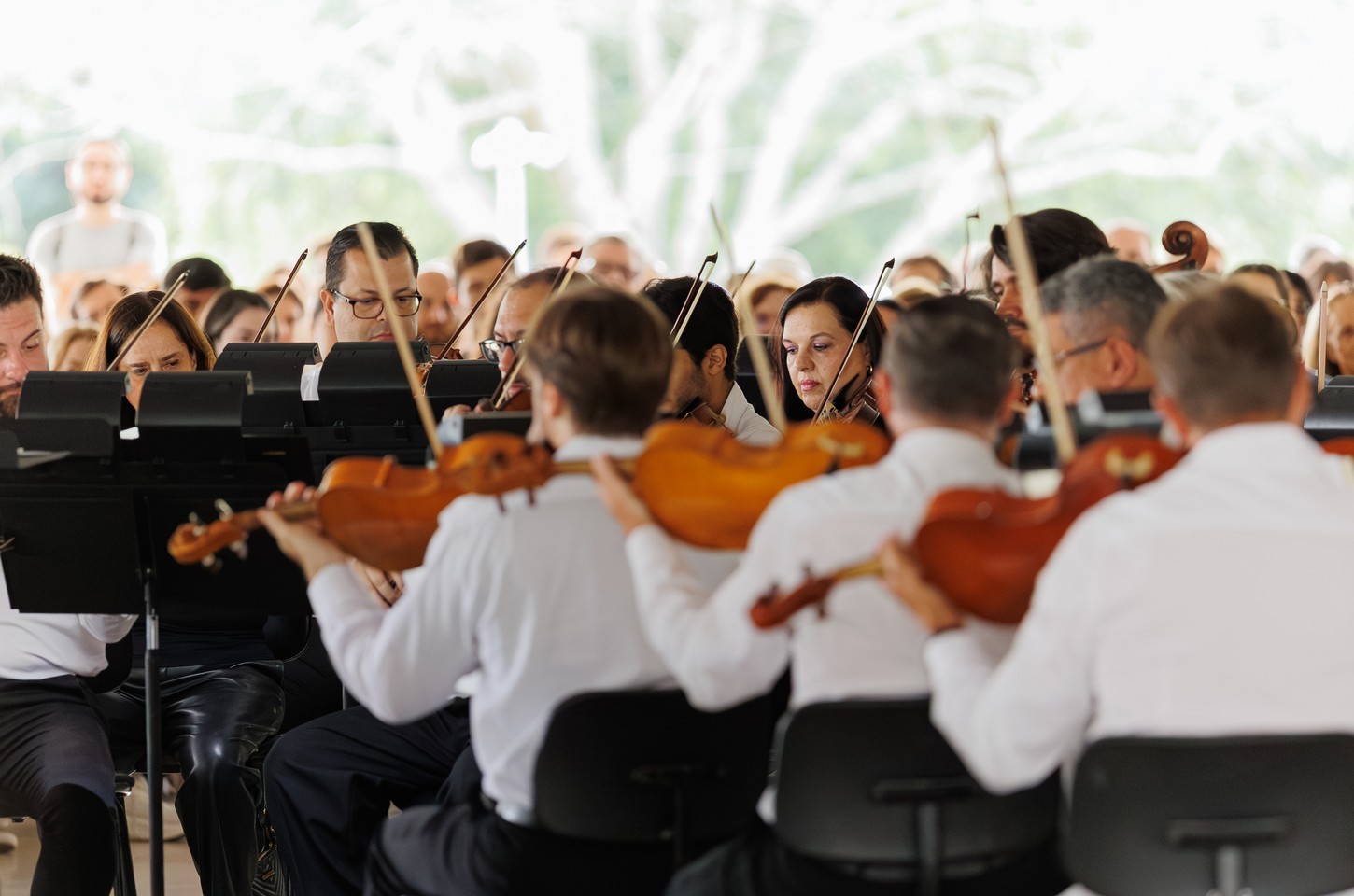 Música clássica ao ar livre volta ao MON com entrada gratuita