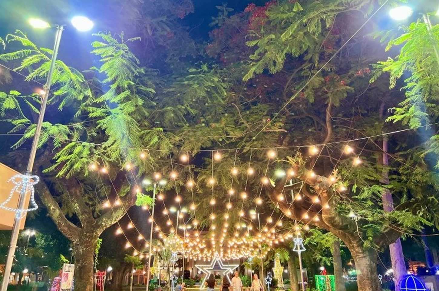 Natal em São Paulo: cidades do interior se iluminam com atrações gratuitas