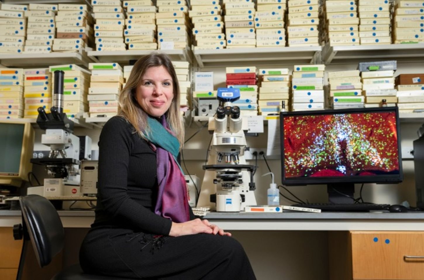 Neurônios brasileiros controlam febre e torpor, abrindo caminho para tratamentos