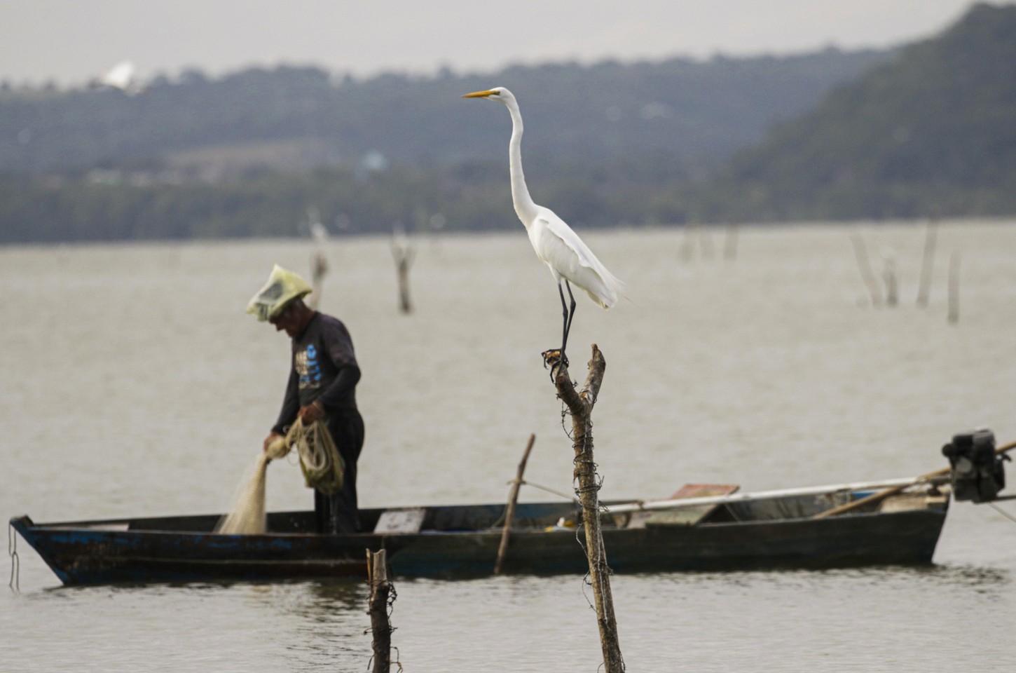 Nova lei do seguro-defeso garante pagamento a pescadores e combate fraudes