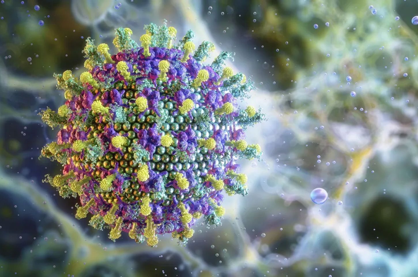Novo surto do vírus Nipah na Índia acende alerta sanitário global