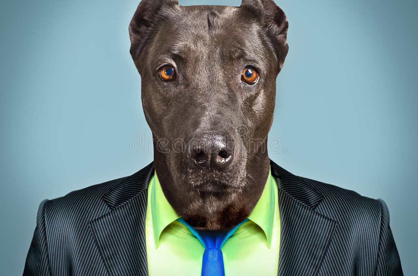 O CCZ do Século XXII 