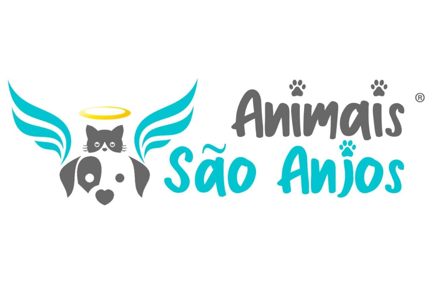 * O projeto Animais são Anjos