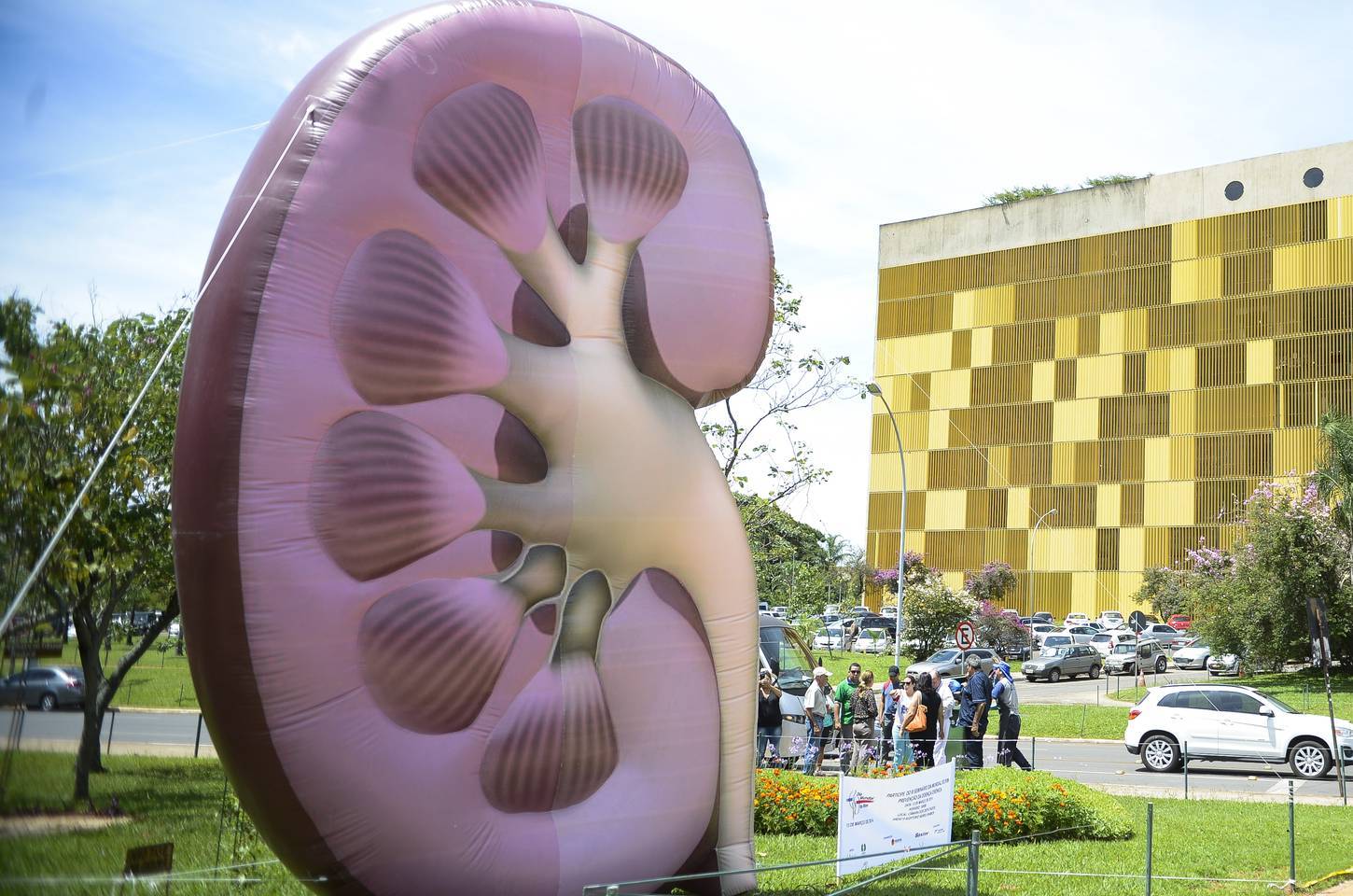 OMS reconhece doença renal como prioridade mundial de saúde pública