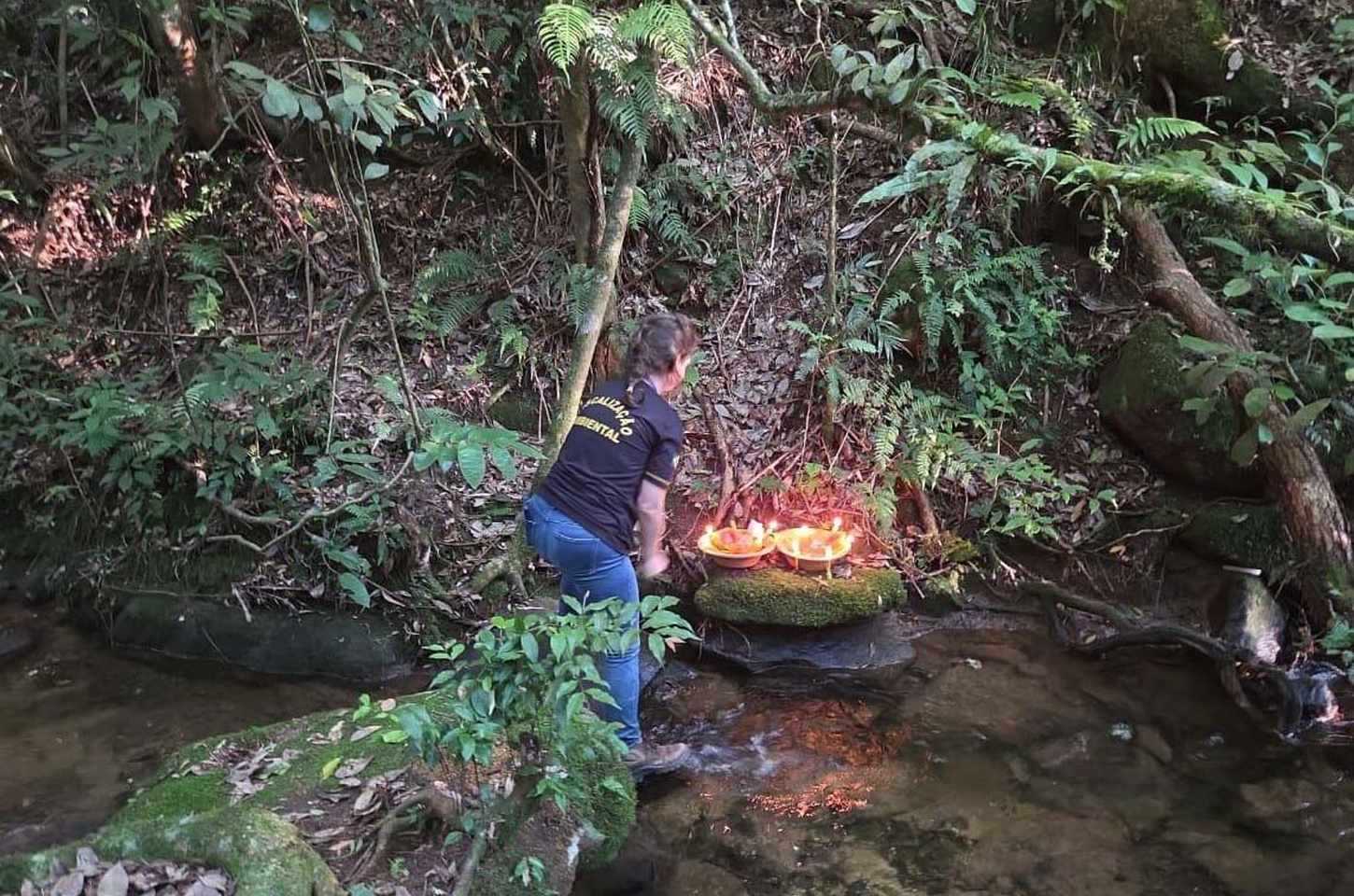 Operação ambiental aplica R$ 878 mil em multas no Paraná