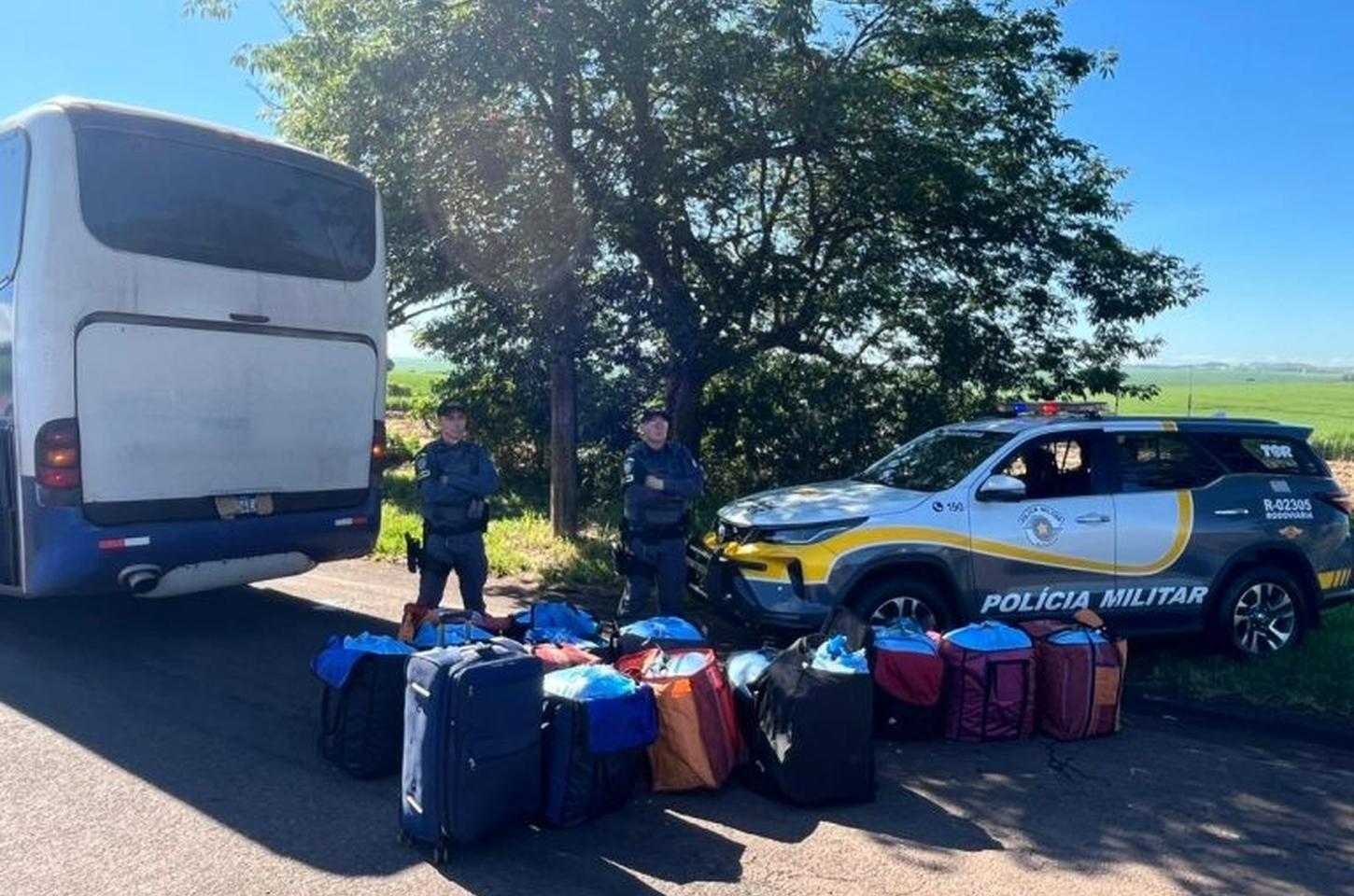 Operação apreende 351 quilos de folhas de coca em ônibus no interior de SP
