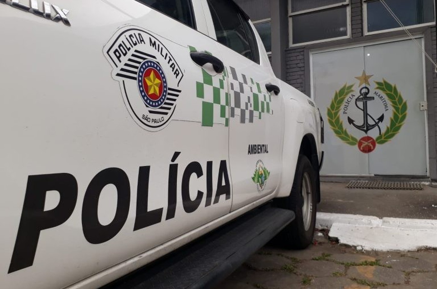 Operação Aruana resgata 137 animais silvestres em São Paulo