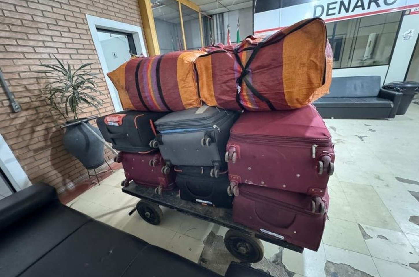 Operação da polícia apreende 391 quilos de folhas de coca em São Paulo