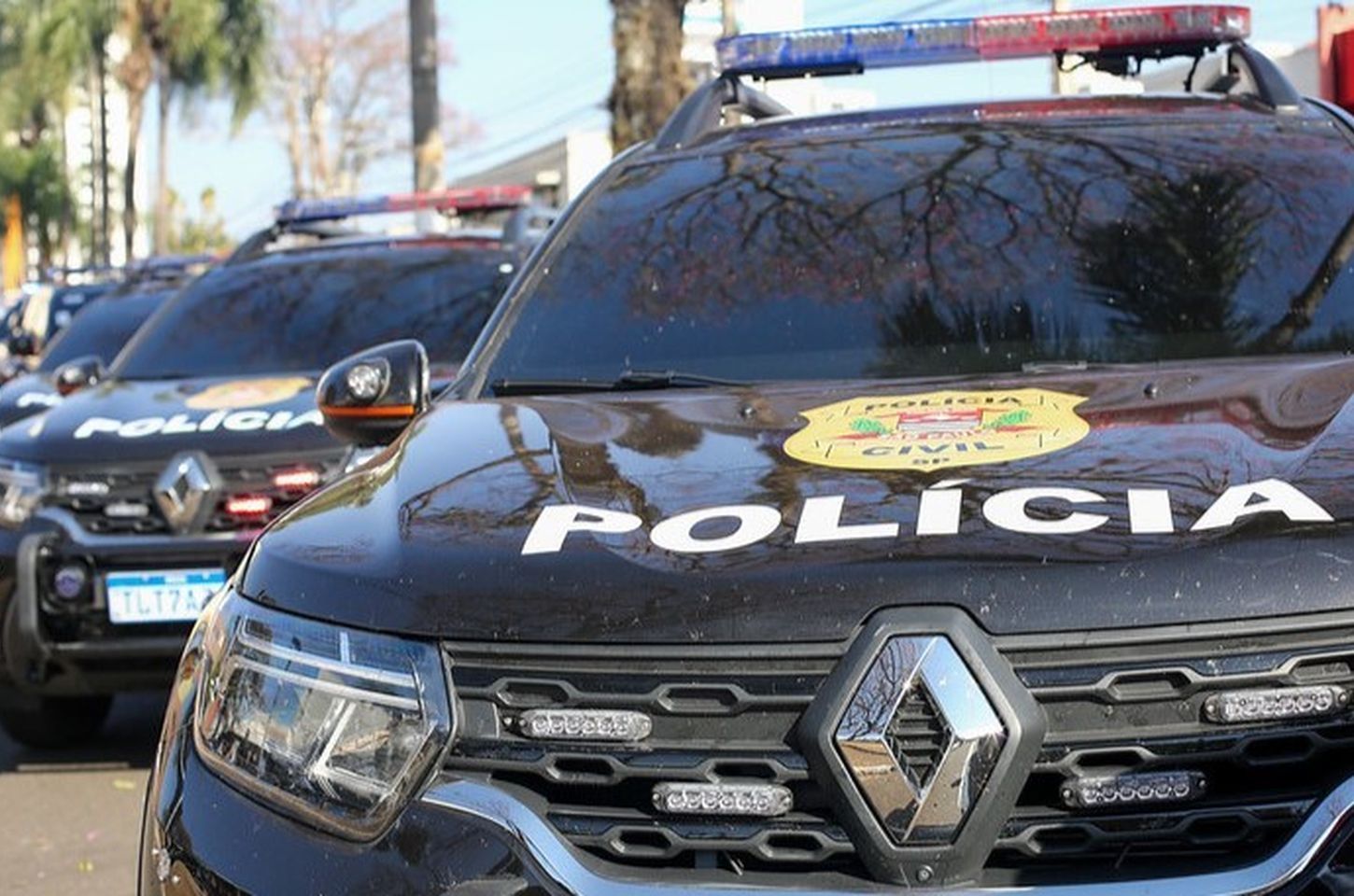 Operação Dama de Ferro prende agressores de mulheres em São Paulo