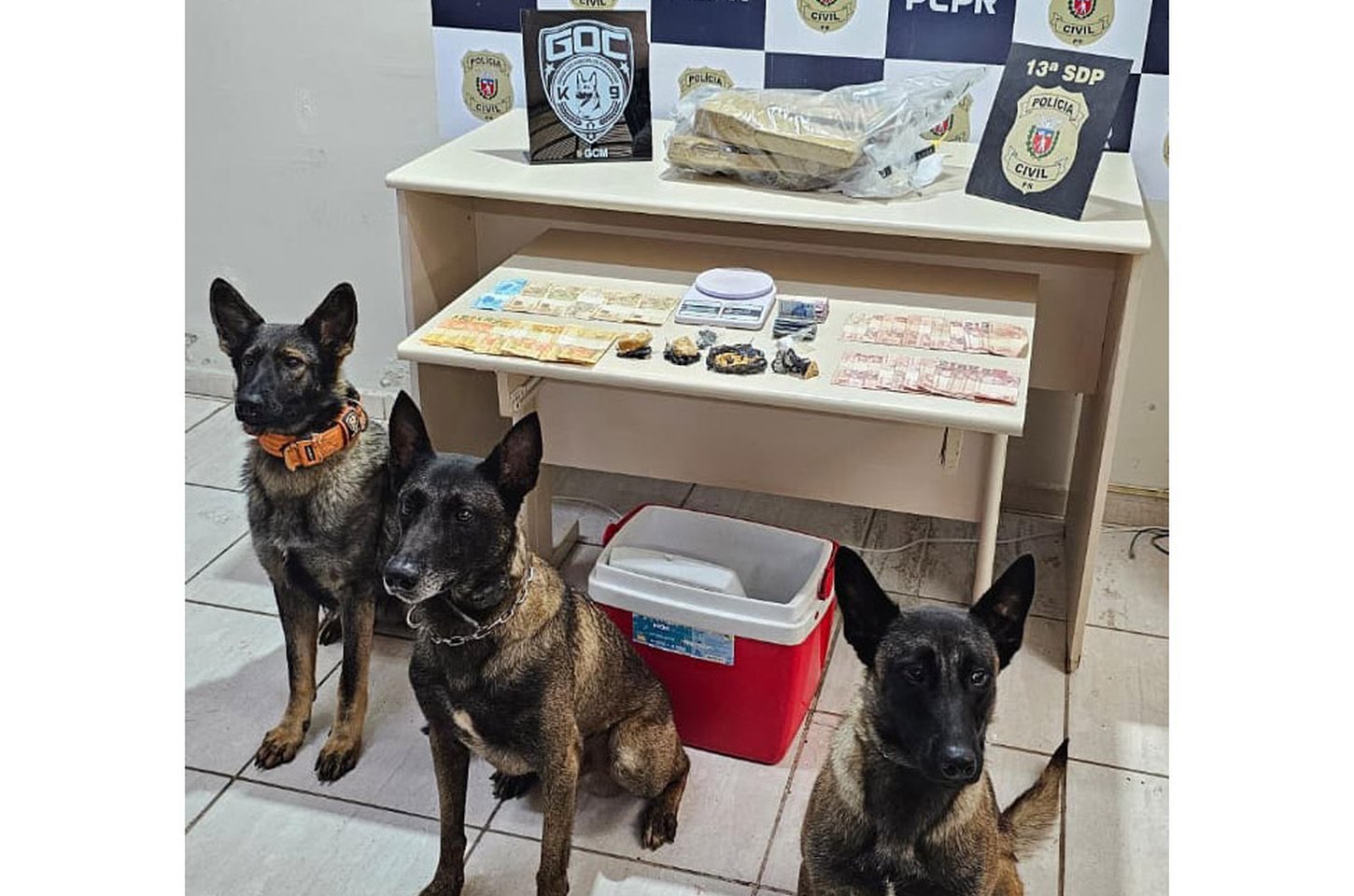 Operação em Ponta Grossa prende três e apreende drogas e munições