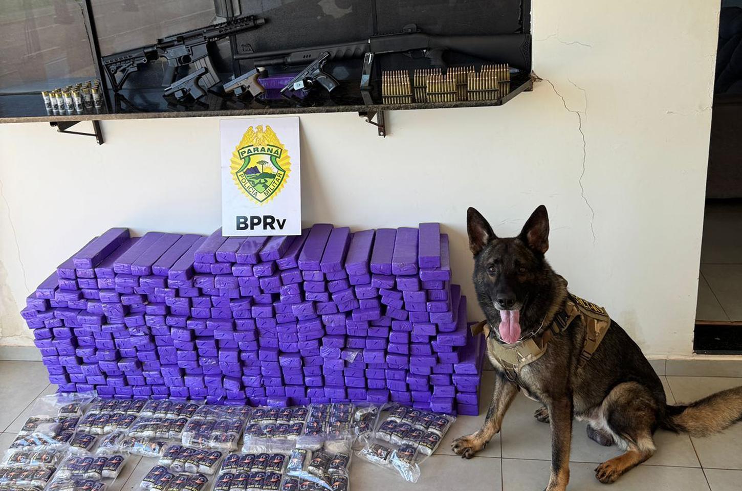 Operação policial apreende 210 quilos de drogas e arsenal na PRC-272