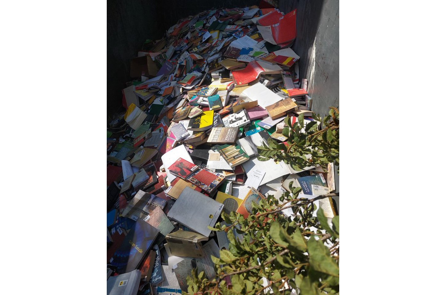 Osasco descarta centenas de livros da Biblioteca Monteiro Lobato