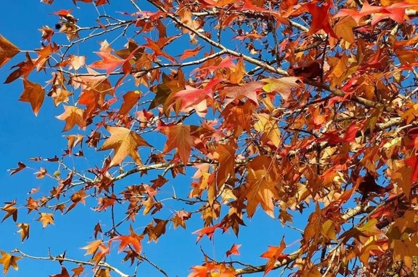 Outono em SP começa com calor e risco de temporais